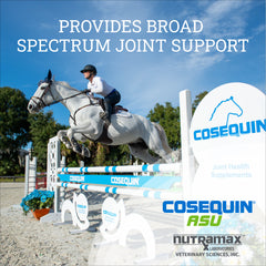 Cosequin ASU Equine Powder  500g
