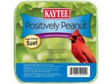 Positively Peanut Suet
