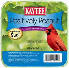 Positively Peanut Suet
