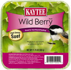 Kaytee Wild Berry High Energy Mini Suet 1ea/11.75 oz