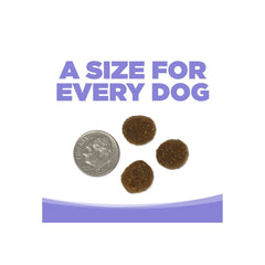 NutriSource Element Series Grain Free Dry Dog Food Upland Stream 4lb