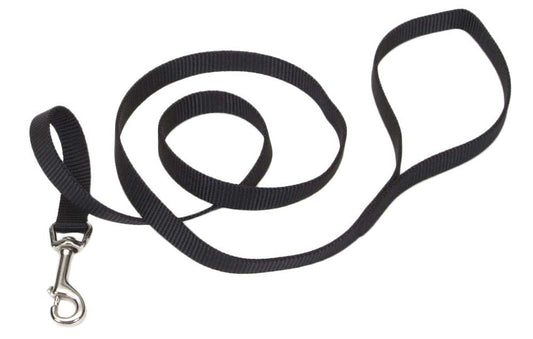 Coastal SinglePly Nylon Dog Leash Black, 1ea/5/8 In X 6 ft