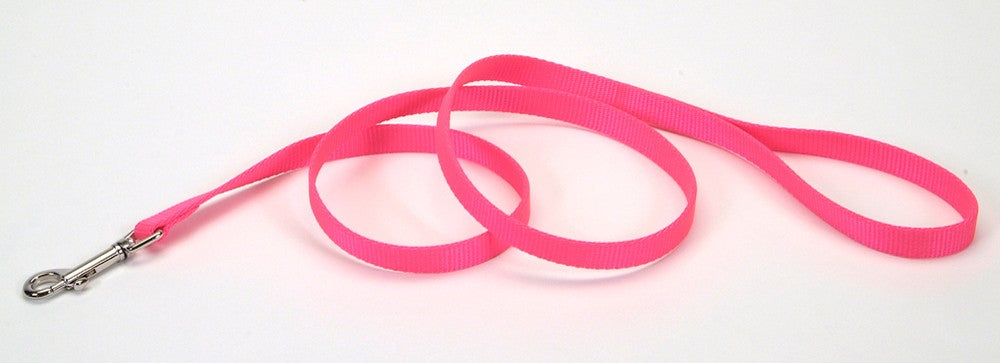 Coastal SinglePly Nylon Dog Leash Neon Pink, 1ea/3/4 In X 4 ft