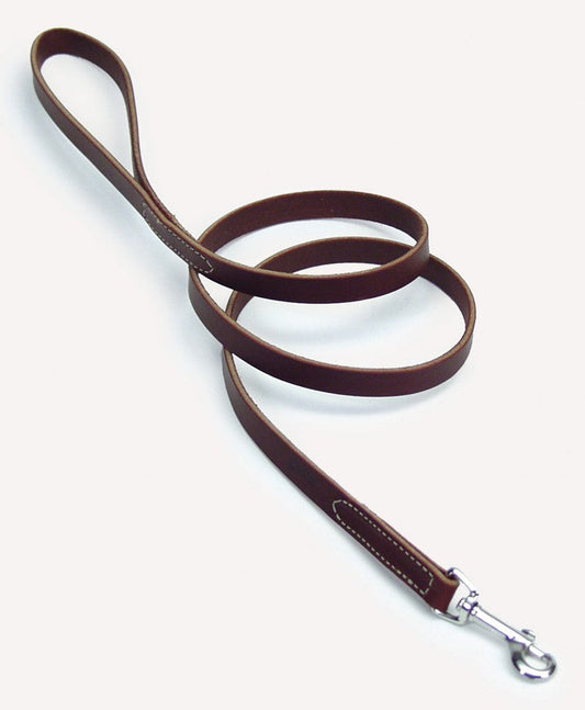 Coastal Circle T Latigo Leather Dog Leash 1X6ft