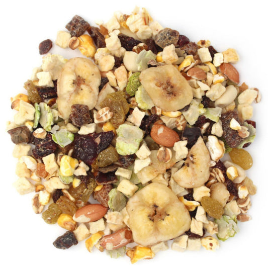 Sun Seed Fantasy Fruit Mix Cockatiel and Lovebird Treat 1ea/11oz.