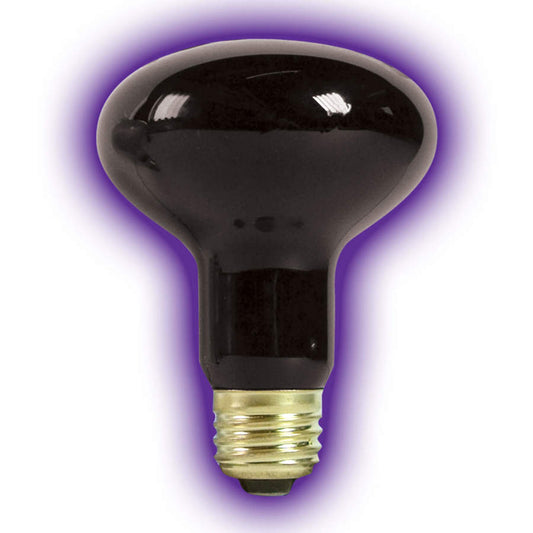 Zilla Incandescent Spot Bulb Night Black, 1ea/75 W