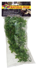 Zoo Med Natural Bush Congo Ivy Plants Green 1ea/14 in, SM