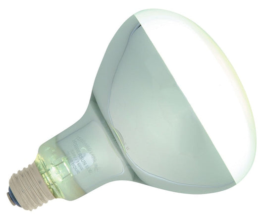 Zoo Med PowerSun UV SelfBallasted Mercury Vapor Lamp Silver, 1ea/160 W