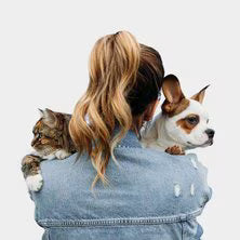 Small Pets