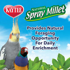 Kaytee Spray Millet for Birds 7oz