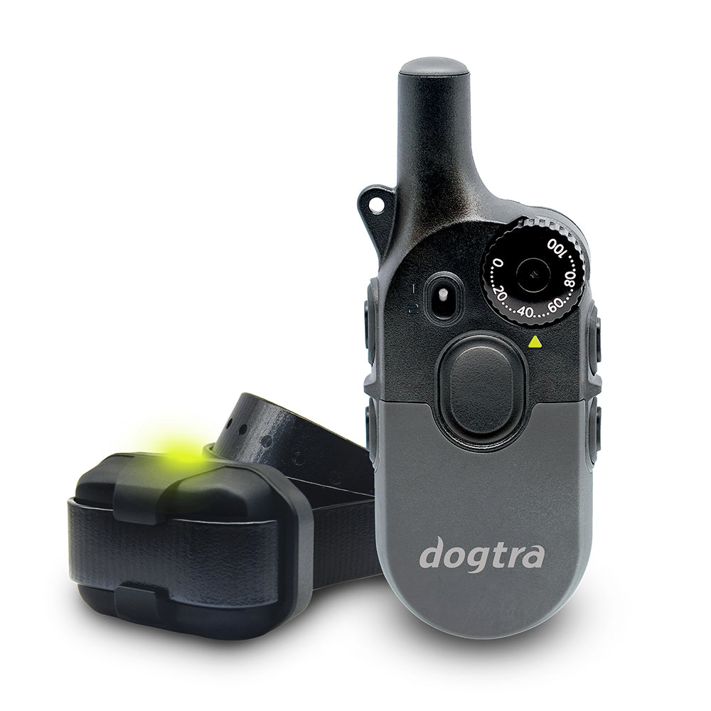1/2 Mile 1 Dog Compact Remote Trainer