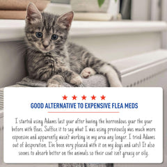 Adams Plus Flea & Tick Spot On for Cats & Kittens 1ea/Over 2.5 Lbs But Under 5 lb