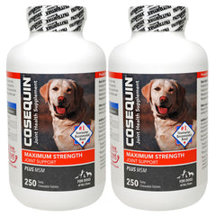 Cosequin Maximum Strength Joint Support with MSM Chewable Tablet, 250 ct, 2pk