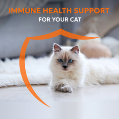 Nutramax Imuquin Immune Health Supplement Powder for Cats, With Beta Glucans, With Astaxanthin, 30 Sprinkle Capsules