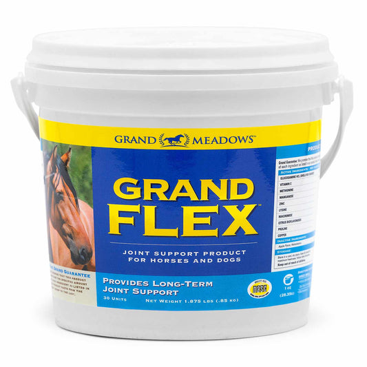 Grand Flex Joint Supplement for Horses – Glucosamine, Collagen, Amino Acids, Lysine, Vitamins & Minerals, Joint Support, Mobility, Performance, Active & Aging Horses, Daily Wellness – 1.875 lb