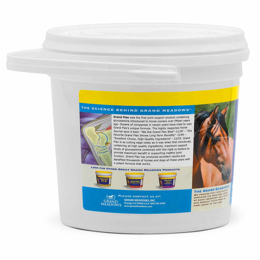Grand Flex Joint Supplement for Horses – Glucosamine, Collagen, Amino Acids, Lysine, Vitamins & Minerals, Joint Support, Mobility, Performance, Active & Aging Horses, Daily Wellness – 1.875 lb