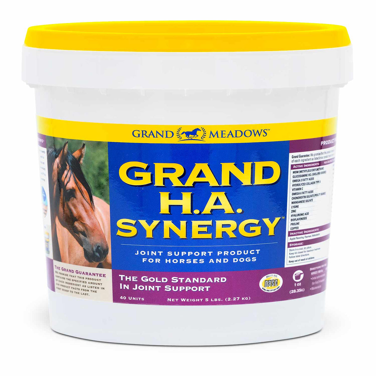 Grand H.A. Synergy Advanced Joint Supplement for Horses & Dogs, 5 lb - Apple Flavor Powder with Hyaluronic Acid, Glucosamine, MSM, Collagen & Omega Fatty Acids– Mobility, Tendon & Ligament Support