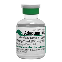 Adequan i.m. Equine
