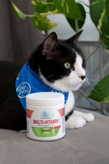 Healthy Promise Multi-Vitamins For Cats, Savory Chicken (120 Count)