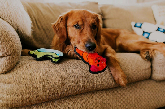 Outward Hound Invincibles Puppy Dog Toy Brown Extra-Small