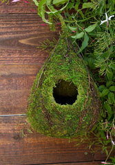 Galapagos Raindrop Deco Birdhouse Fresh Green 6inX10in