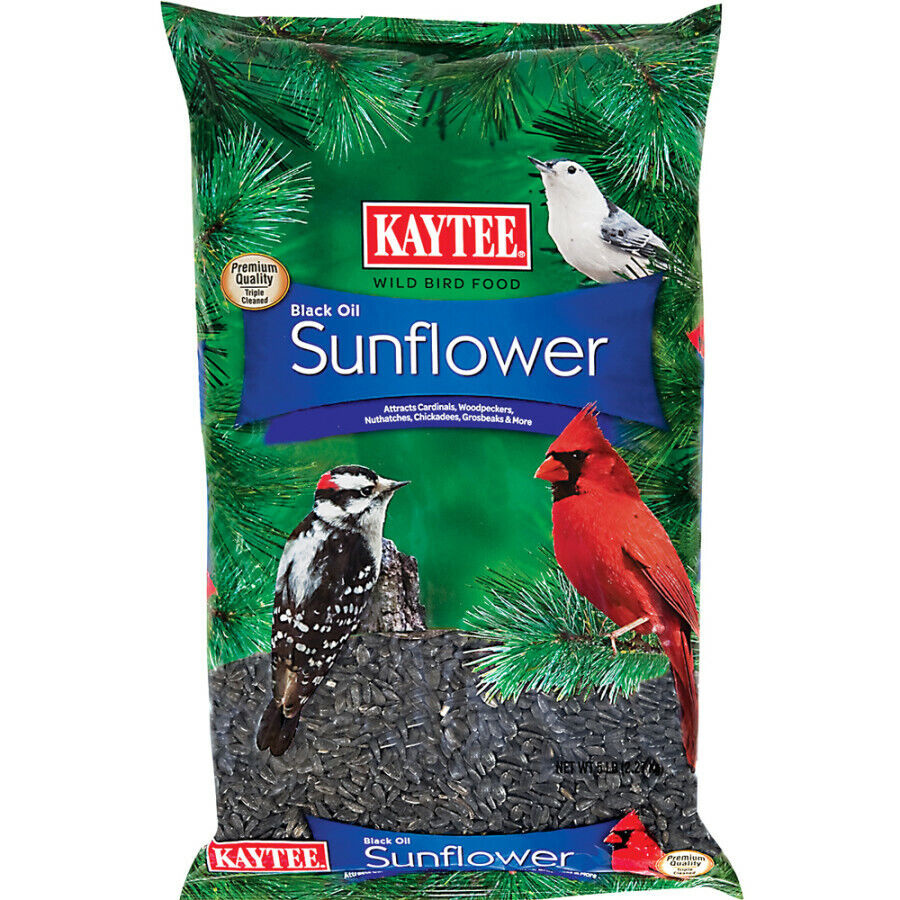 Kaytee Black Oil Sunflower 5 Pounds