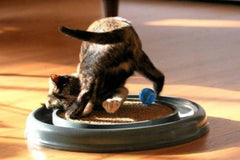 Bergan Turbo Scratcher Cat Toy Assorted, 1ea