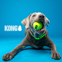 KONG - Squeakair® Balls - Dog Toy Premium Squeak Tennis Balls, Gentle on Teeth - for Small Dogs (3 Pack)