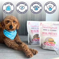 Healthy Bud Dog Freeze-dried 14oz. Lamb Salmon Bites