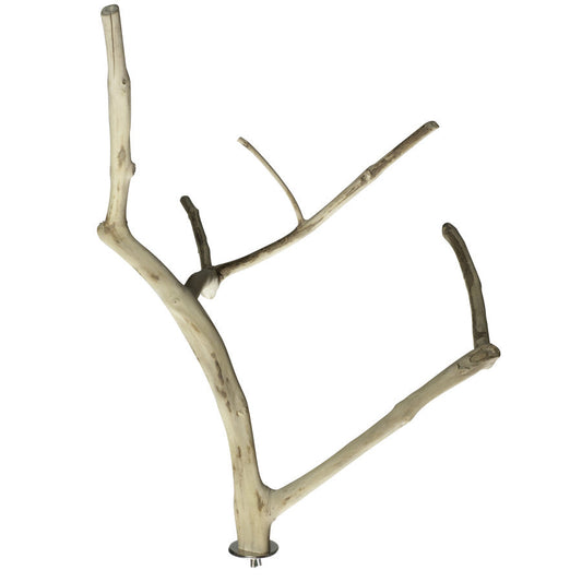 A&E Java Wood Multi Branch Bird Perch Medium