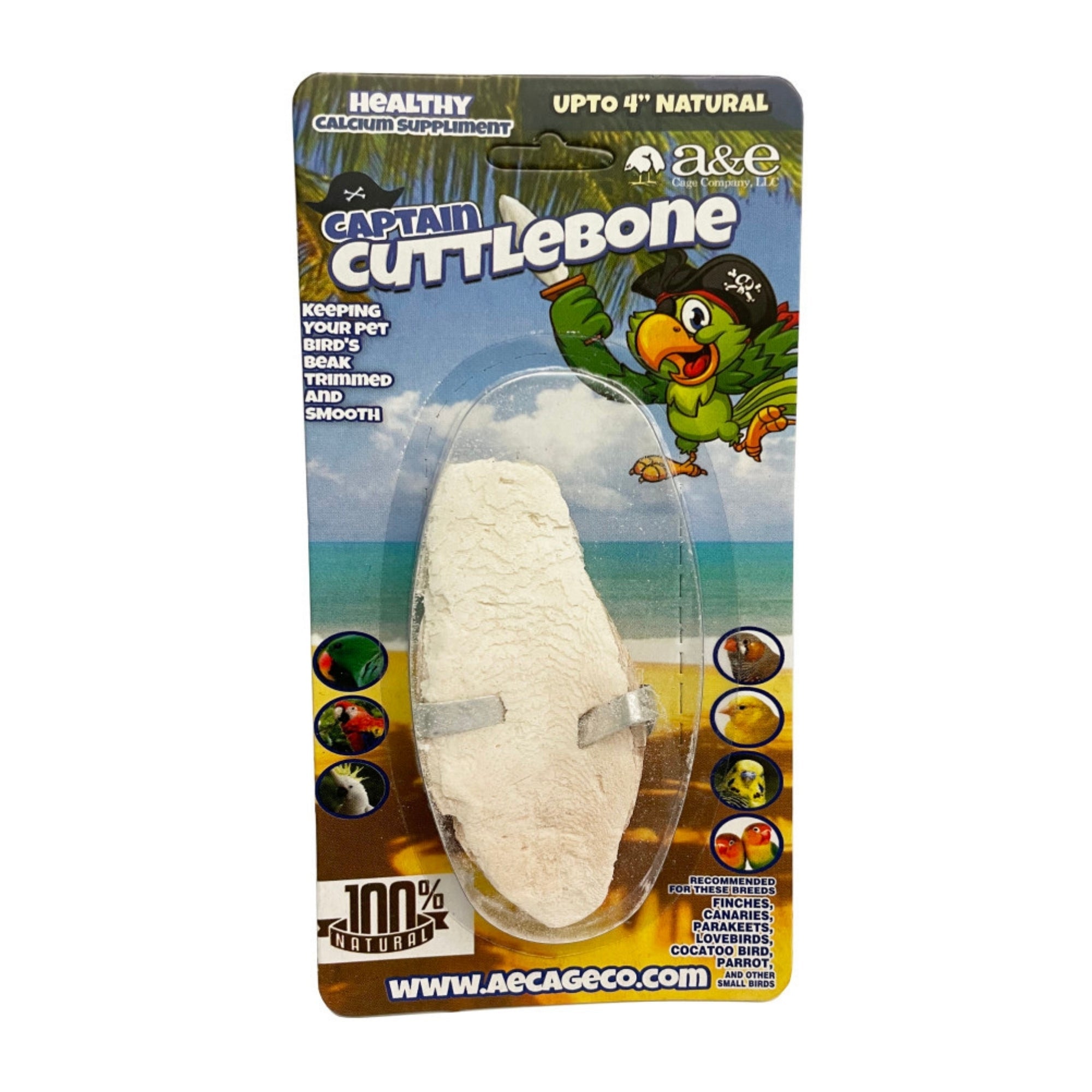 A & E Cages Natural Cuttlebone 1ea/4 in.  (Pack of 3)