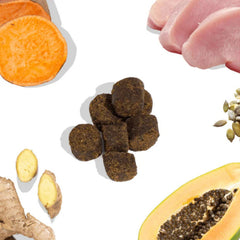 Healthy Bud Dog 4.6oz. Gut Bistro Turkey & Liver Functional Treat