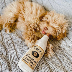 H&K Power Plush Dog Toto's Pawdka Small Squeak Crinkle