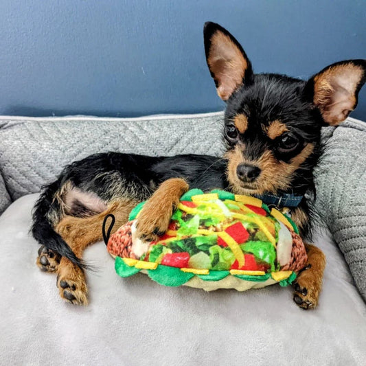 H&K Power Plush Dog Taco Tuesday Small Squeak Crinkle