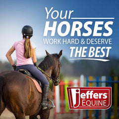 Jeffers Horse Fleece Polo Wraps 4 Pack and Equine Health Record 1 Pack Kit – Leg Wrap Accessories for Training Riding Turnout Stable, Hoof Care Tracker, Equestrian Horse Supplies - Purple