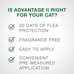 Advantage II Small Cat Single Dose Orange