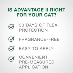 Advantage II Cat Large Purple 2-Pack