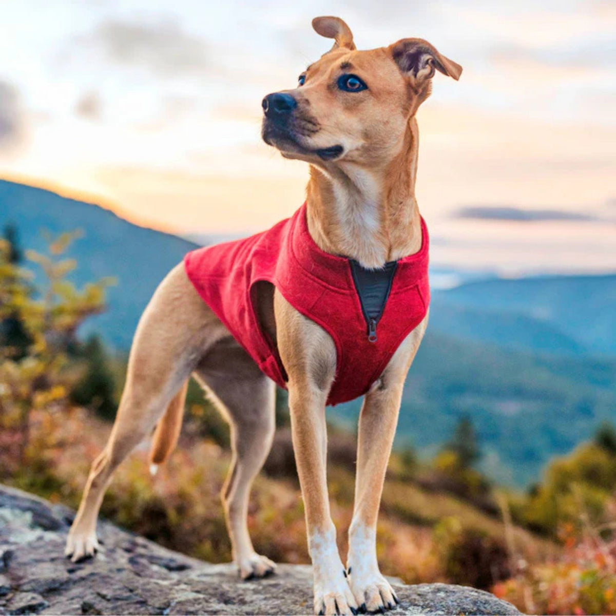 Kurgo Dog Core Sweater Heather Red Extra Small
