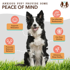 Natural Dog Company Dog Calming Supplement Chews - 90 Count