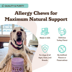 Natural Dog Company Dog Allergy & Itch Supplement Chews - 90 Count