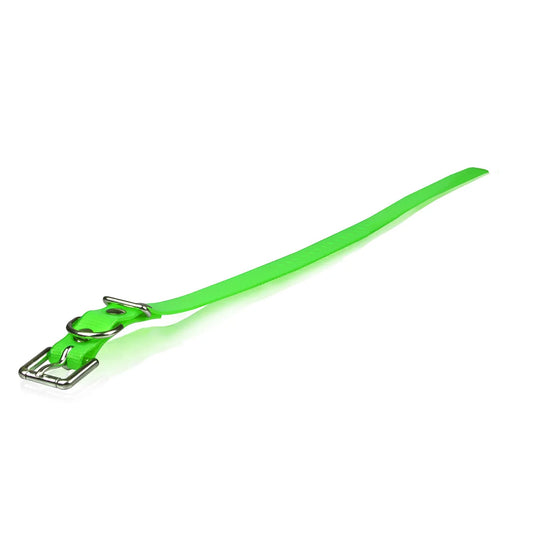 Dogtra Extra Dog Collar Strap Green 1″ x 24″ – 744622340112