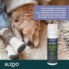 Plant-Based Calming Spray Dog