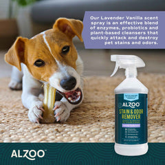 Stain & Odor Remover Lavender Vanilla Spray, 32oz