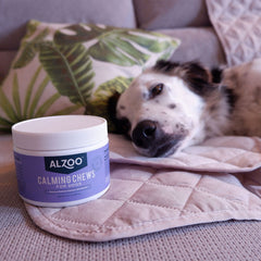 Plant-Based Calming Soft Chews, 90ct