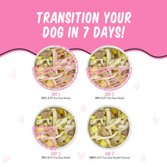 Bff Dog Wanna Be Withya Chicken Rice & Chicken Liver Cup 2.7oz. (Case of 12)