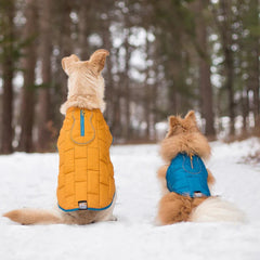 Kurgo Dog Jacket Loft Blue/Orange Small