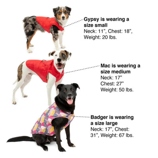 Kurgo Dog Jacket Loft Blue/Orange Medium