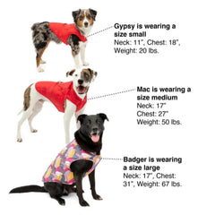Kurgo Dog Jacket Loft Blue/Orange Large