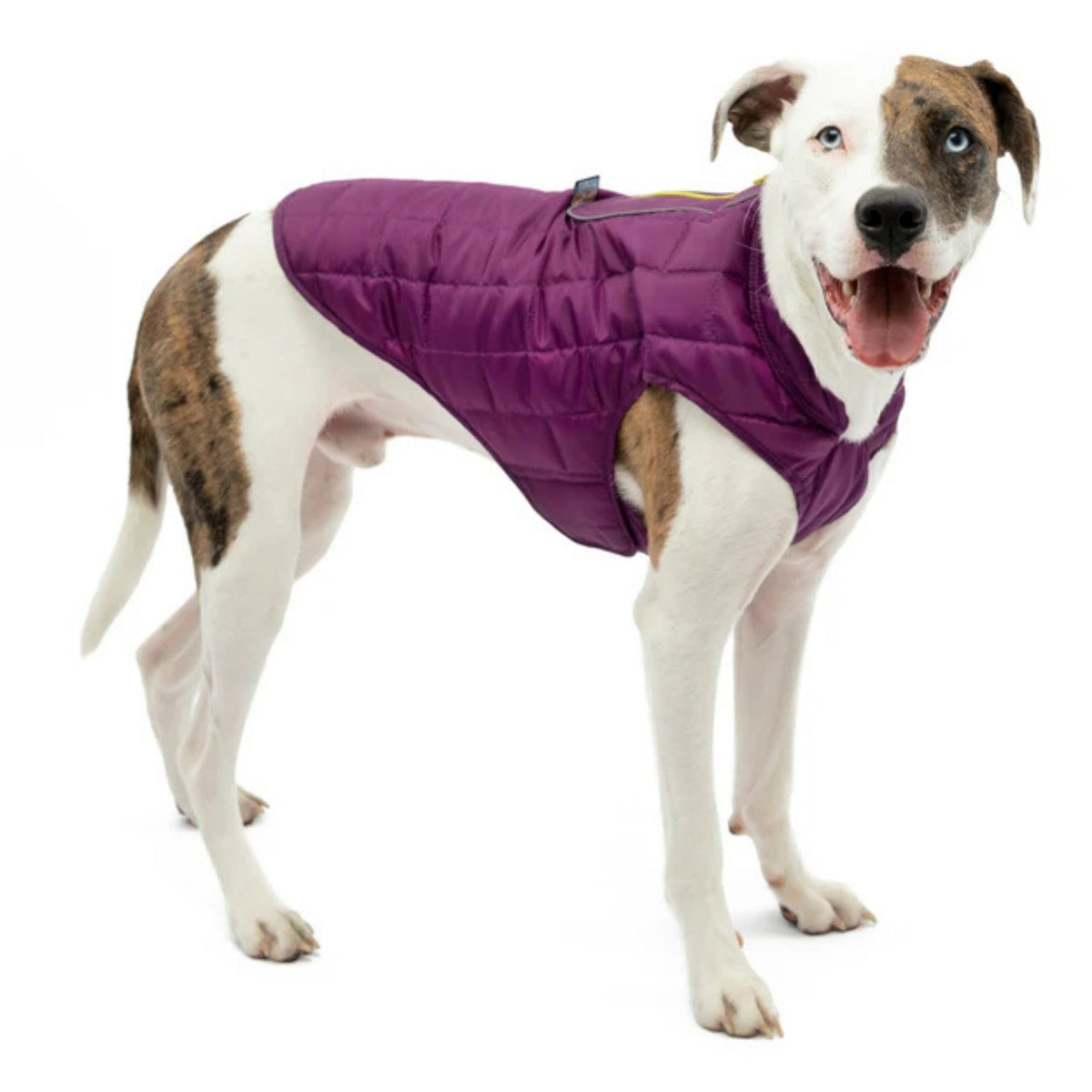 Kurgo Dog Loft Jacket Violet XLarge