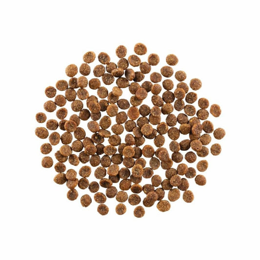 Go! Cat Skin & Coat Care Grain Free Salmon 3Lb